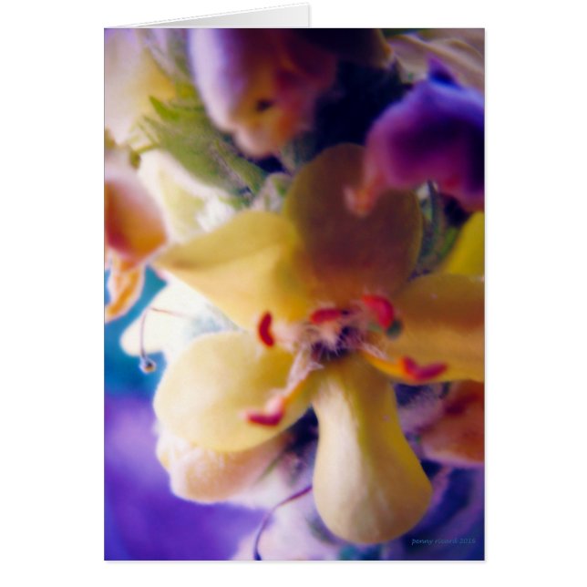 Flor de primavera brillante (Frente)