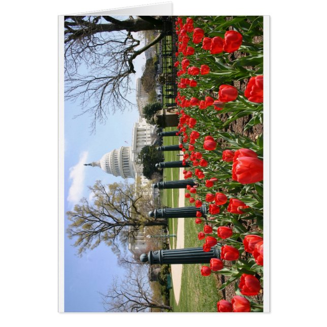 Flor de primavera del Capitolio de los Estados Uni (Frente)