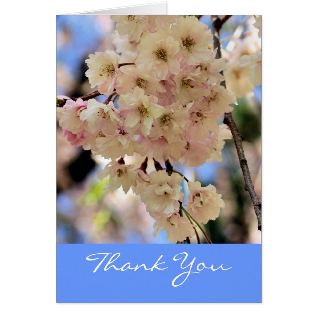 Flor de Primavera Rosa Gracias (Frente)