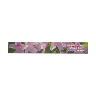 Flor de primavera rosada de Azalea Bush