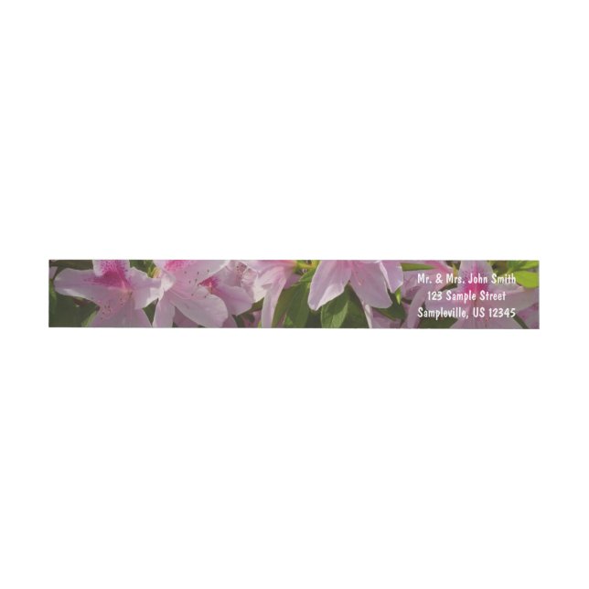Flor de primavera rosada de Azalea Bush (Individual)