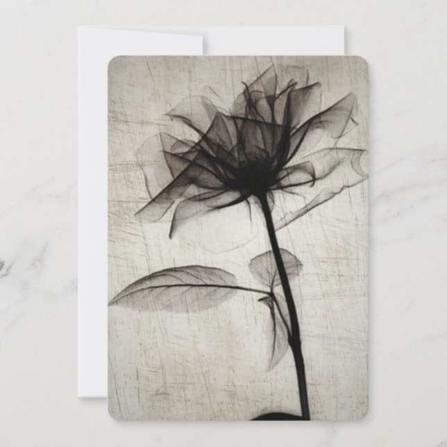 Flor de rayos X de gran cosecha (Anverso)