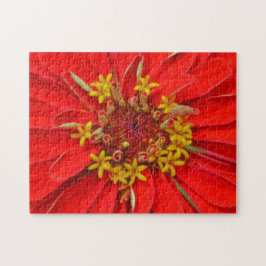 Flor de Rojo Intenso Primer Plano Rompecabezas Flo
