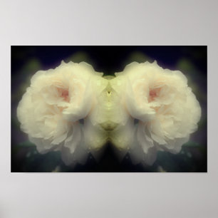 Flor de Rosa Blanca en Flor Total Arte de Naturale