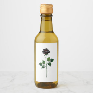 Flor de rosa negra