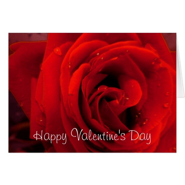 Flor de rosa roja (Anverso (Horizontal))