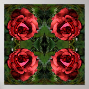 Flor de Rosa Roja en Flor Arte Abstracto 