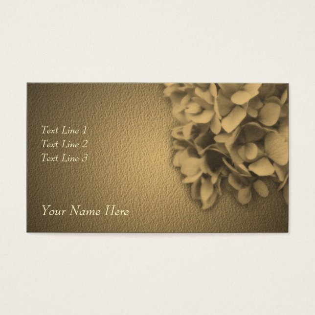 Flor de Sepia Hydrangea de edad avanzada (Frente)