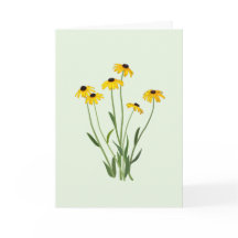 Flor de suero de ojos negros