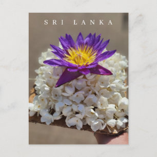 Flor de templo de Sri Lanka ofrece postal