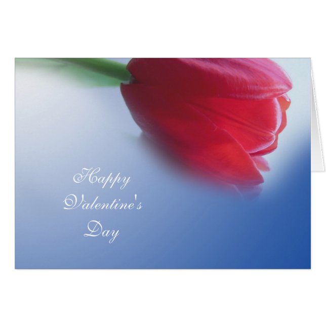 Flor de tulipano rojo (Anverso (Horizontal))