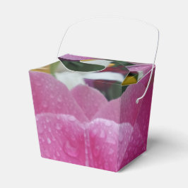 Flor De Tulipano Rosa Sacar Caja Favorita