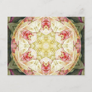 Flor de vida Mandala 6 tarjetas