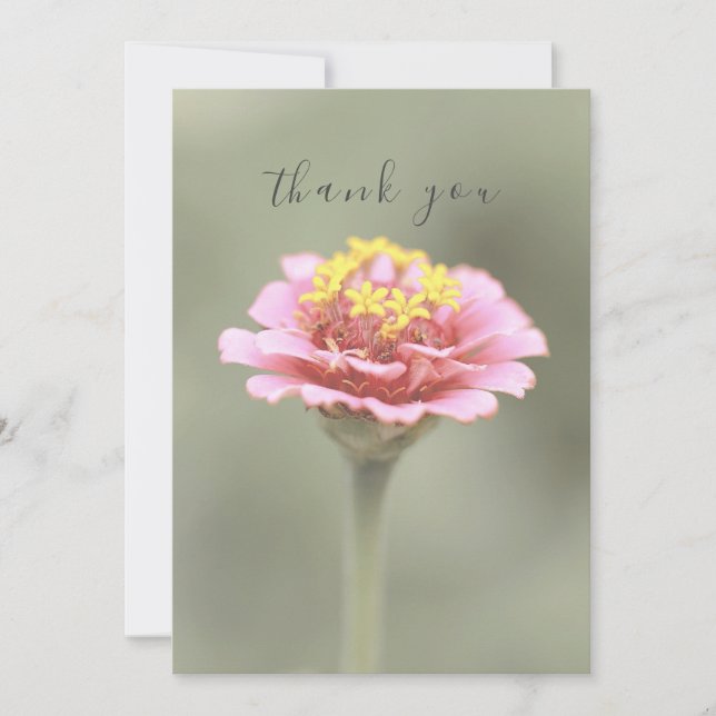 Flor de Zinnia Rosa Tarjeta Plana Verde de Agradec (Anverso)
