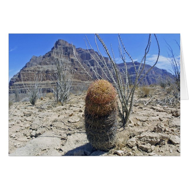 Flor del Gran Cañón (Anverso (Horizontal))