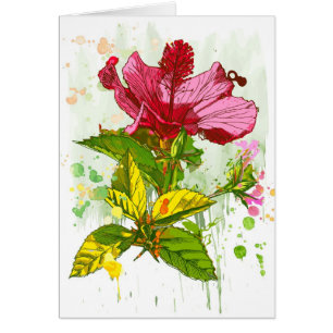 Flor del hibisco - pintura de la acuarela