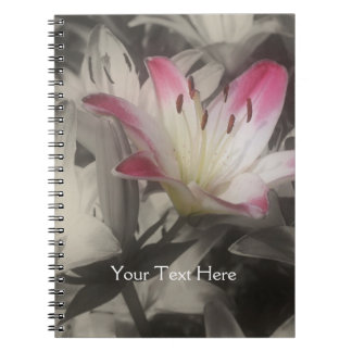 Flor del lirio en cuaderno blanco y negro