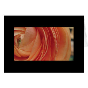 Flor del melocotón