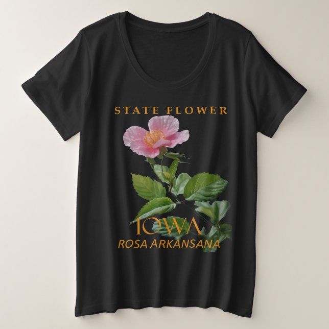 Flor del Territorio de Iowa Rosa Arkansana (Anverso del diseño)