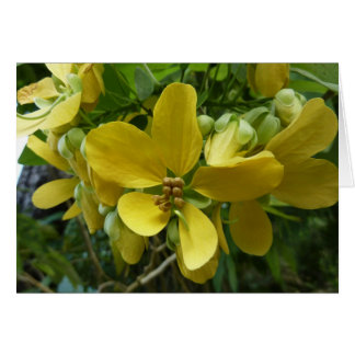 Flor dorada de árbol tropical amarillo