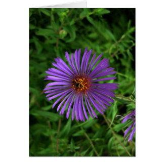 Flor en blanco y azul