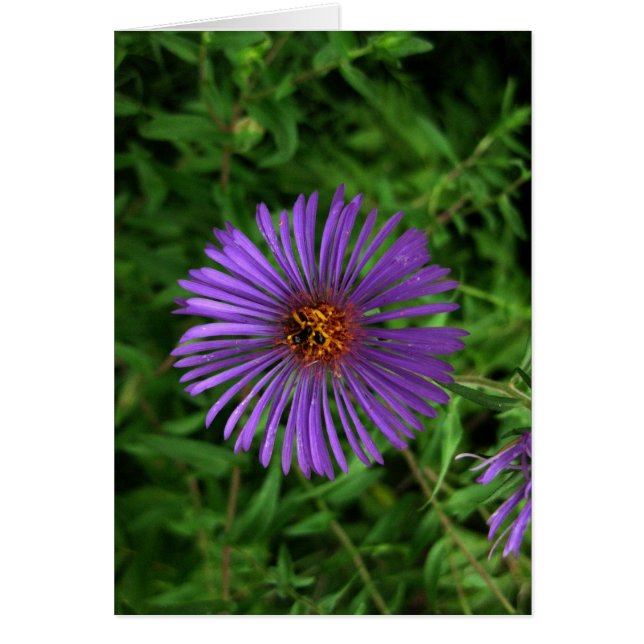 Flor en blanco y azul (Frente)