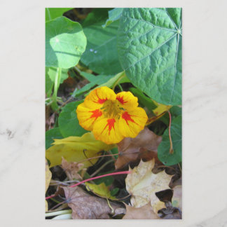 Flor en Hojas