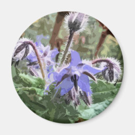 Flor Estrella de Borage azul en un imán de cocina
