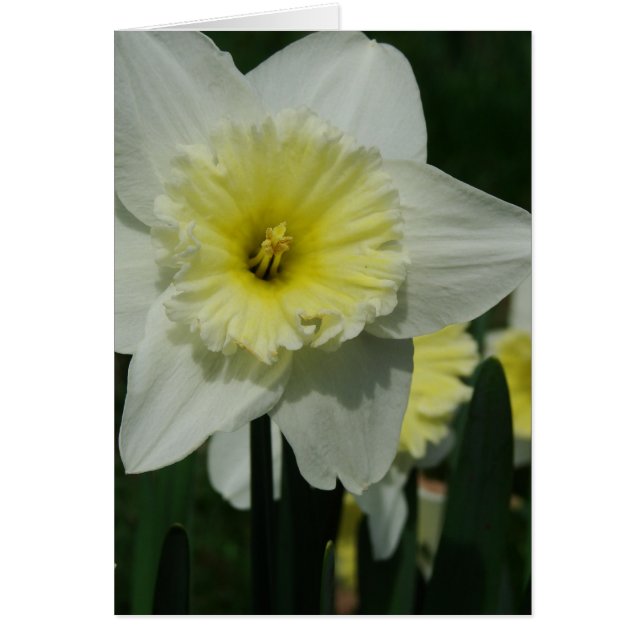 Flor feliz día de la madre (Frente)