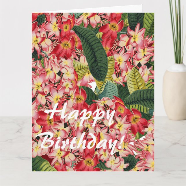 Flor Floral Botánica Plumeria Gran Tarjeta de Cump (Anverso)