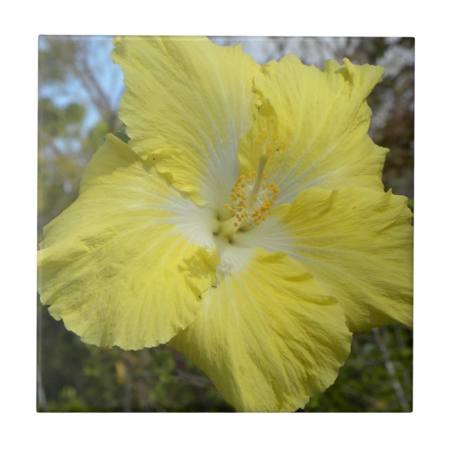 Flor floral de Hawaii de la teja amarilla tropical (Frente)