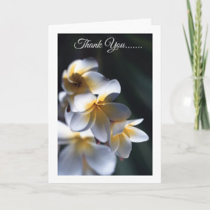 Flor frangipani tarjeta de agradecimiento