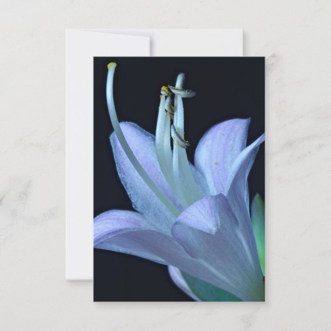 Flor Hosta Bonito morado y azul clásico floral (Anverso)