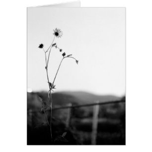 Flor individual