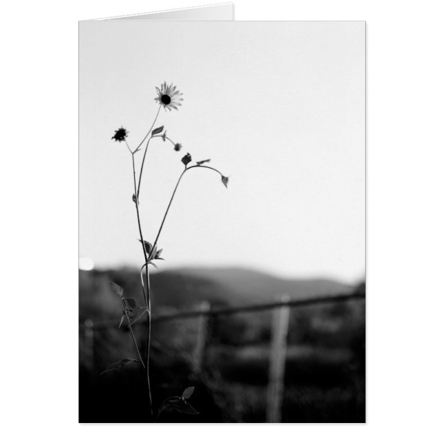 Flor individual (Frente)