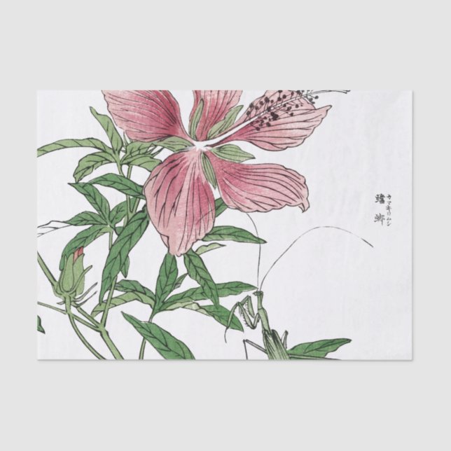 FLOR JAPONESA CON EL PAPEL SEDA DEL PREDICADOR (Anverso)