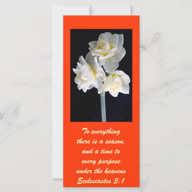 Flor Jonquil - Ecclesiastes 3:1 (Anverso)