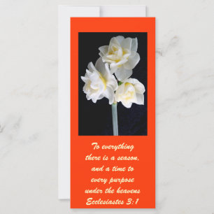 Flor Jonquil - Ecclesiastes 3:1