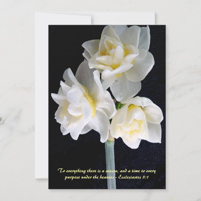 Flor Jonquil - Ecclesiastes 3:1 (Anverso)