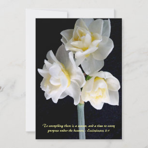 Flor Jonquil - Ecclesiastes 3:1