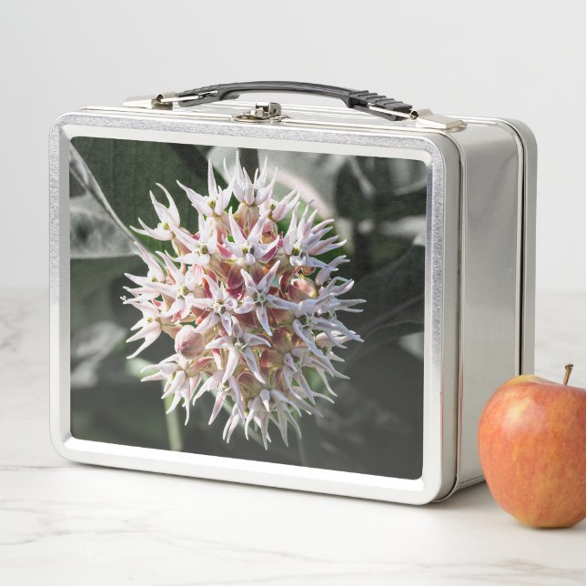 Flor lechosa blanca y delicada (In situ)