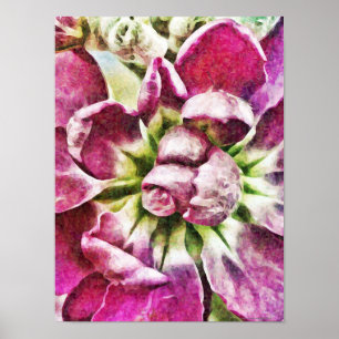 Flor magenta Resumen de arte fotográfico