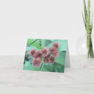 Flor marrón - Tarjeta de saludo en blanco