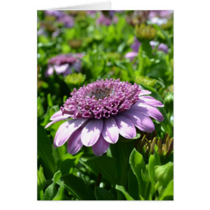 Flor morada