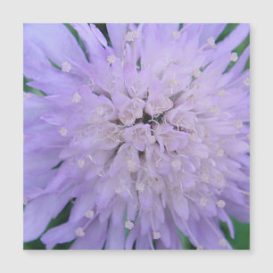 Flor morada