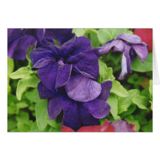 Flor morada