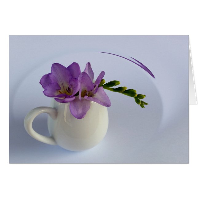 flor morada de freesia (Anverso (Horizontal))