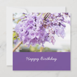 Flor morada Jacaranda en el cumpleaños del árbol J