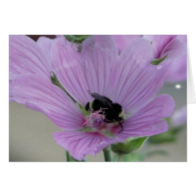 Flor morada ligera con tarjeta de abeja (Anverso (Horizontal))