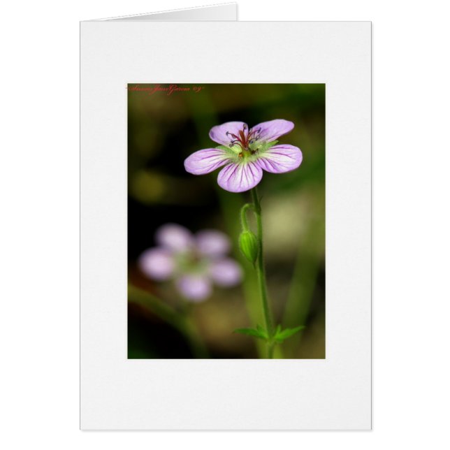 Flor morada pequeña (Frente)